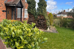 Willow-Road18-at-16.15.52-5